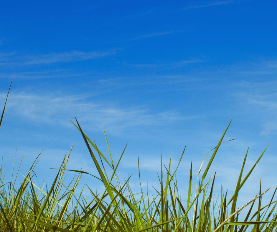 Finding Real 24-Hour AC Support in Alpharetta